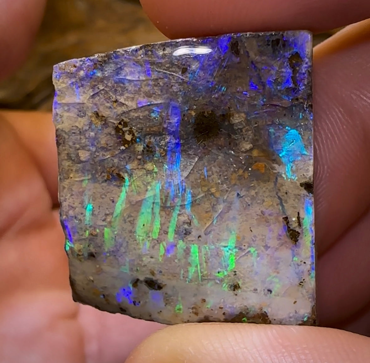 137.3cts - 3x Matching Queensland Boulder Opal Specimens. Wholesale Parcel - Opal Whisperers