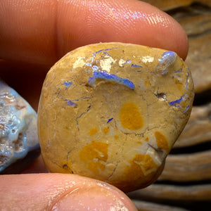 181.2cts - 3x Lightning Ridge Opal Rough Parcel