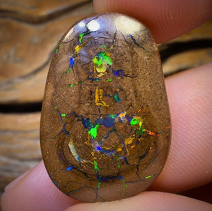 40.5cts - Queensland Boulder Opal. Bubbleband Formation