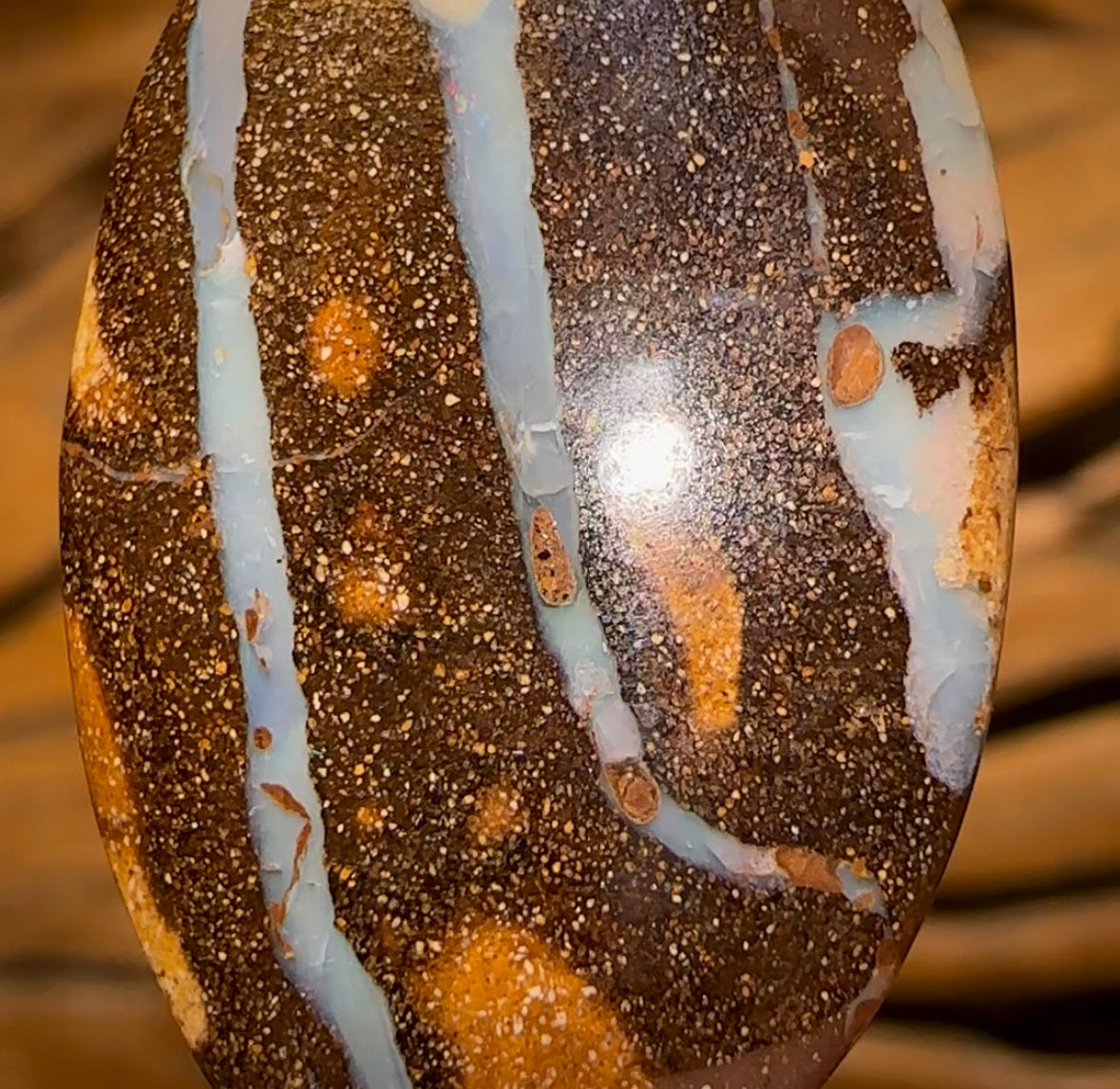 🔨 AUCTION 🔨 No Reserve 22.5cts - Queensland Boulder Seam Opal