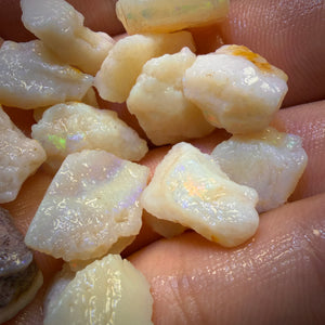 🔨 AUCTION 🔨 91.6cts - 20x South Australian White Opal Rough Parcel