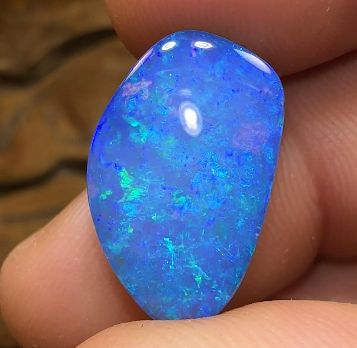 11.2cts - INVESTMENT Gem Quality Queensland Boulder Australian Opal. Scandinavian Ice Blue - Opal Whisperers