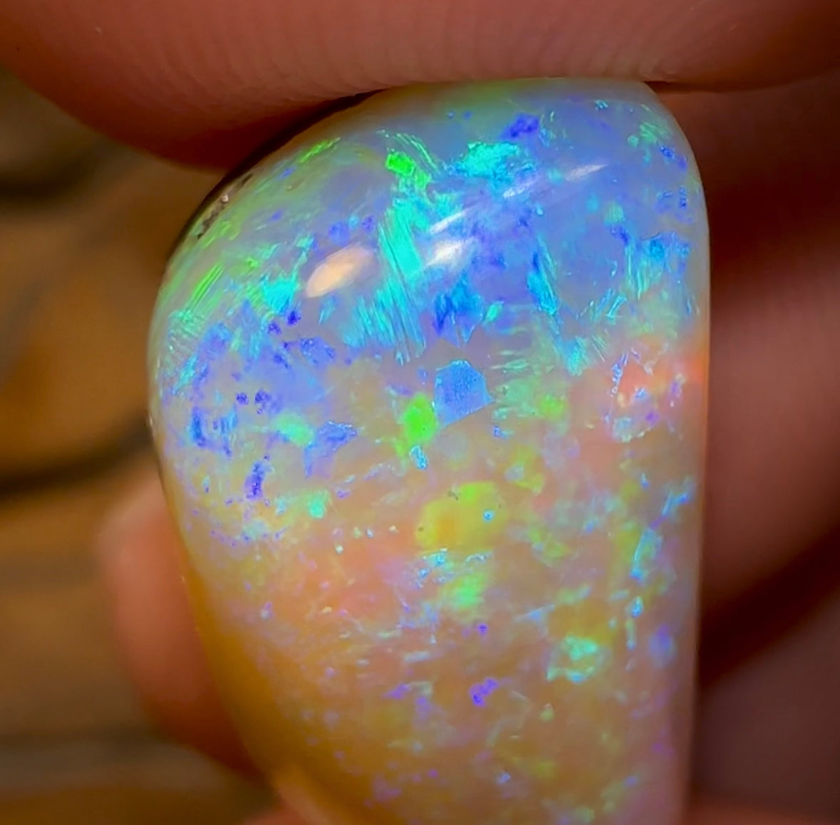 20.5cts - GEM Queensland Boulder Opal. THICK SEAM OPAL - Opal Whisperers