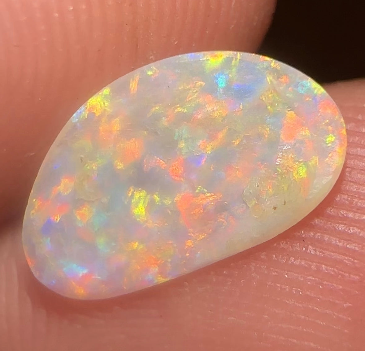0.95cts - South Australian Crystal Opal. Fossilised Pippy Shell - Opal Whisperers