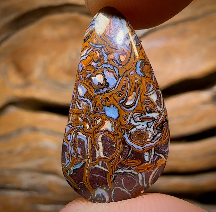 🔨 AUCTION 🔨 15.8cts - Tribal Australian Boulder Opal from Yowah