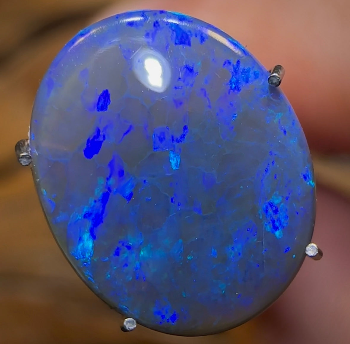 2.5cts - Black Opal from Lightning Ridge - Opal Whisperers