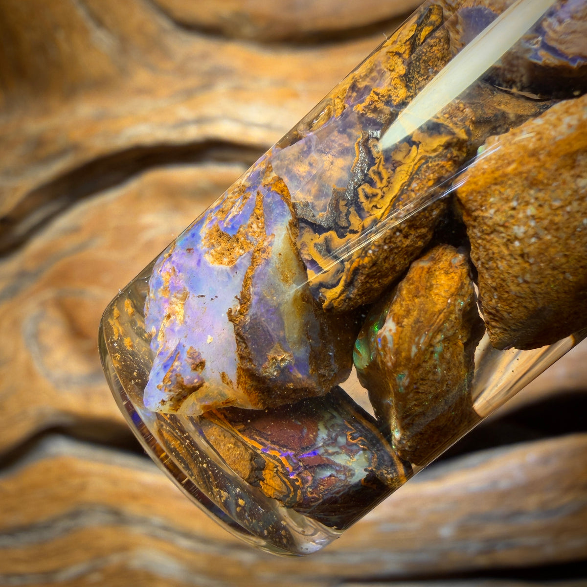 65cts - Jar of Yowah Nut Opal Rough w/ Fossil Opal