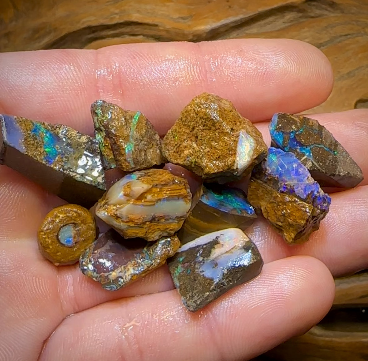 122.5cts - 10x Mixed Queensland Boulder Opal Rough Parcel