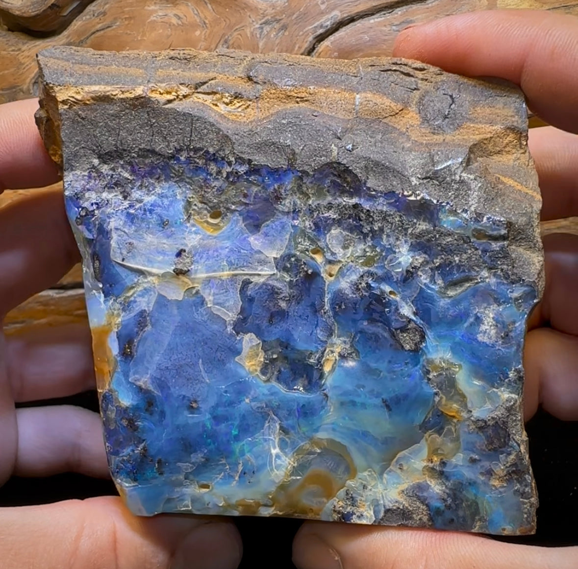 906g - Large Queensland Boulder Opal Rough Specimen from Winton - Opal Whisperers