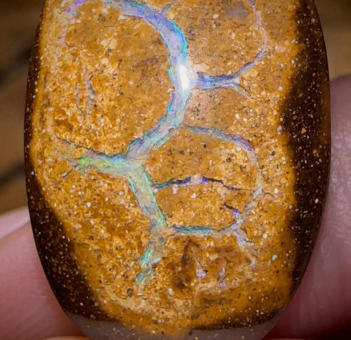 14.1cts - Queensland Boulder Opal. Yowah Nut - Opal Whisperers