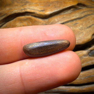 3.7cts - Australian Boulder Opal Doublet
