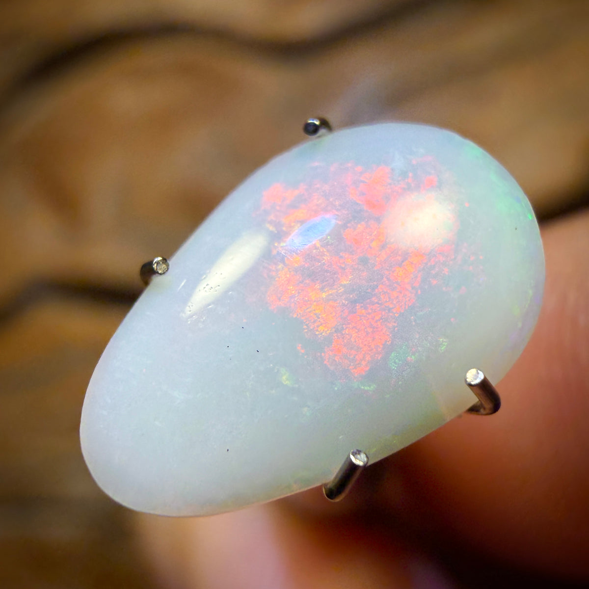 Bargain Card! 1.4cts - South Australian White Opal from Coober Pedy