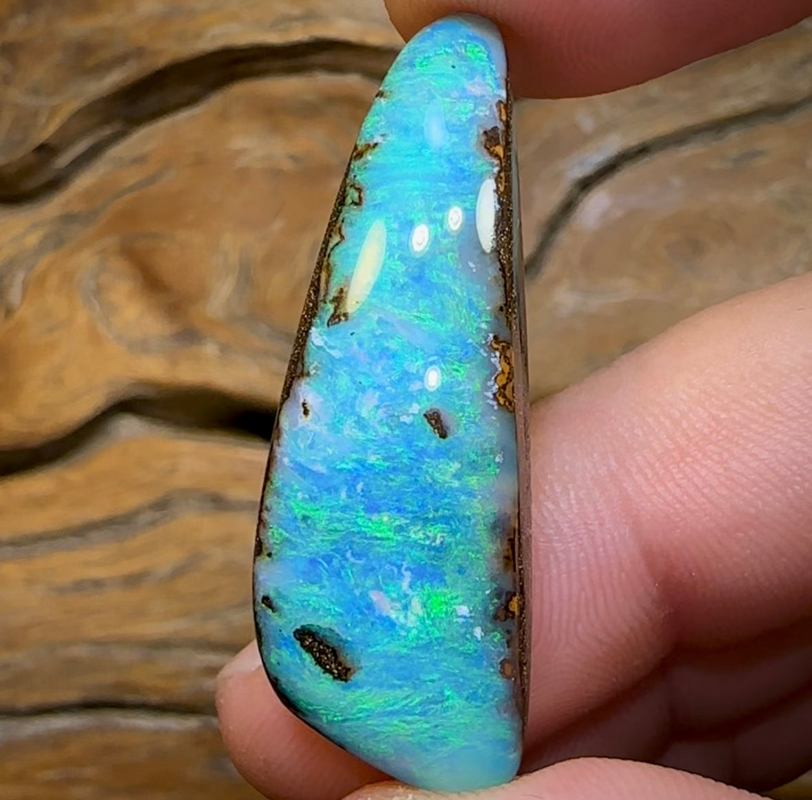 43.4cts - Big Solid Queensland Boulder Opal from Winton - Opal Whisperers