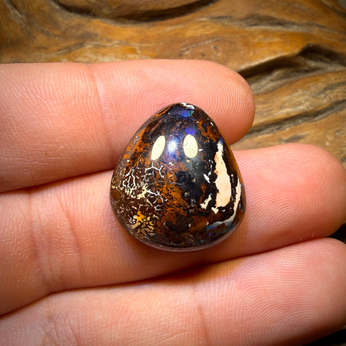 24.1cts - “Dive In Cinema”Yowah Nut Kernel Opal. Australian Boulder Opal HALF PRICE BARGAIN!