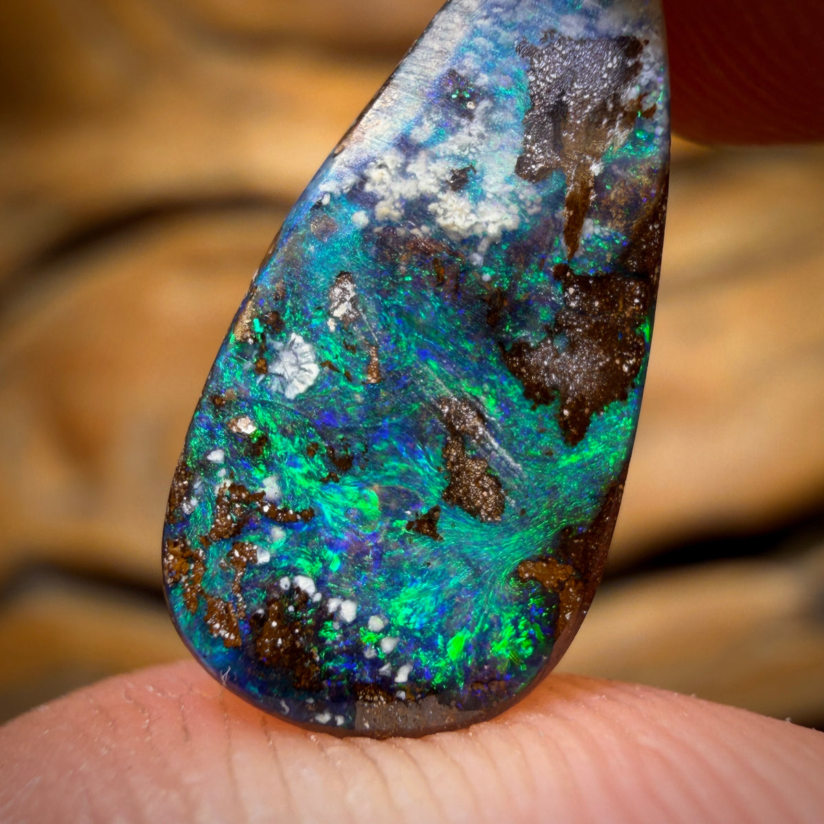 3.8cts - Queensland Boulder Seam Opal Rub