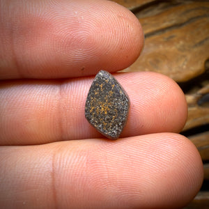 🔨 AUCTION 🔨 3.8cts - Queensland Boulder Seam Opal