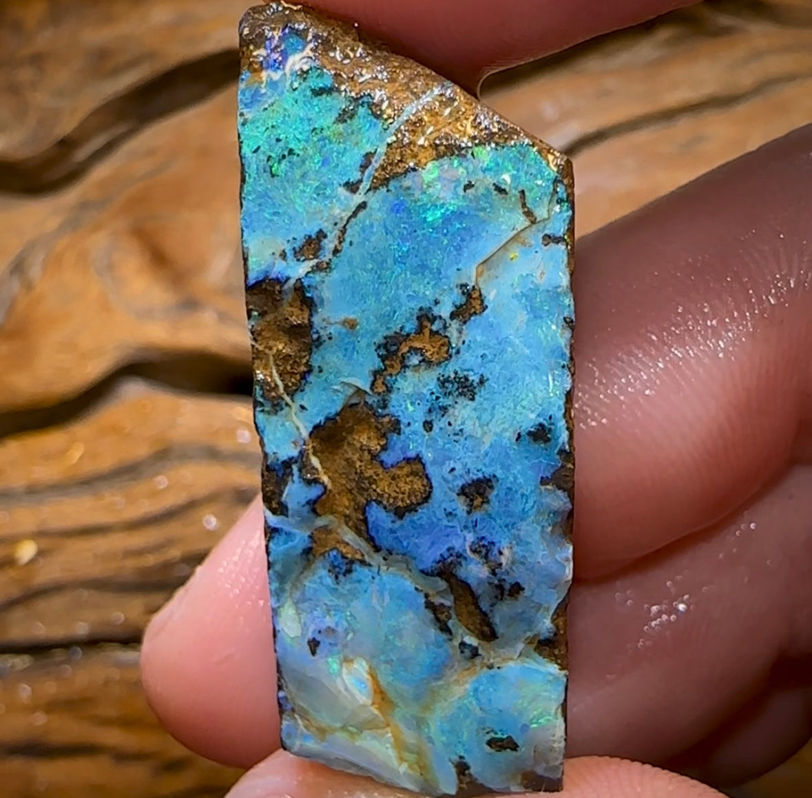 95cts - Australian Boulder Opal Rough Preform. Natural Split - Opal Whisperers