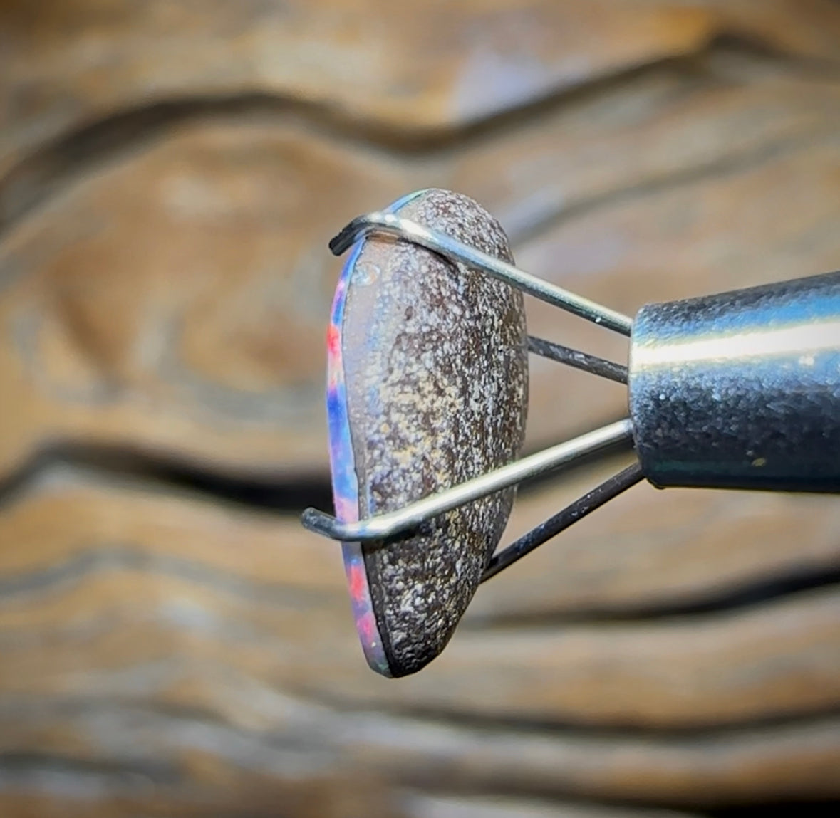 2.5cts - Australian Boulder Opal Doublet from Super Rare Old School Fossil Pipì Shell - Opal Whisperers