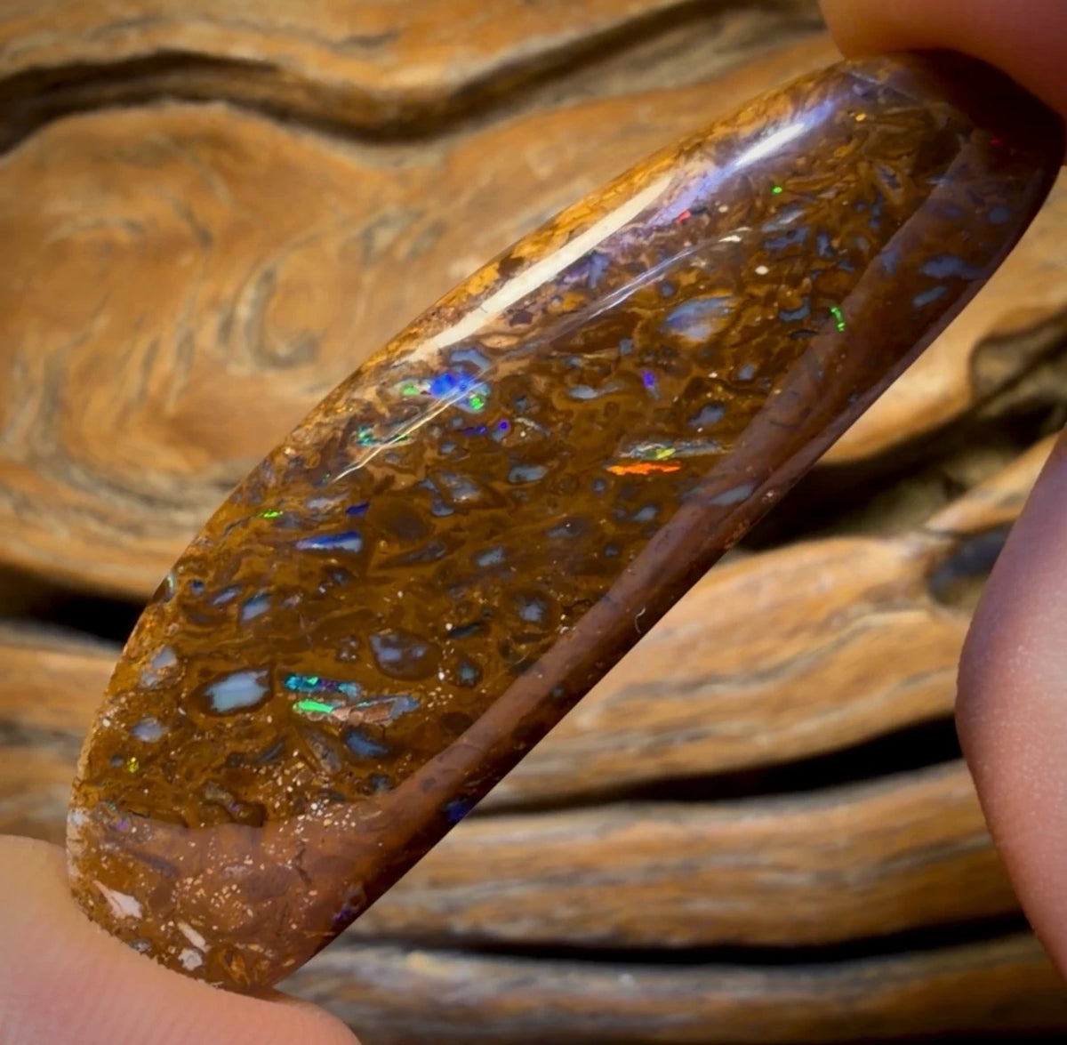OpalFest WildCard 50%Off 43.2cts - Yowah Nut Opal. Australian Boulder Opal