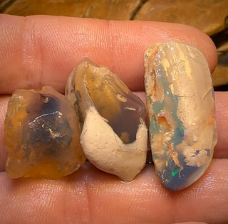 75,2 ct – 3 opalisierte Muschelproben aus Lightning Ridge