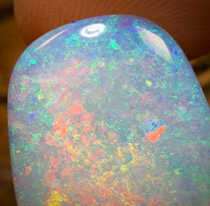 20.1cts - GEM Rare Opal Fossil Wood Crystal Opal