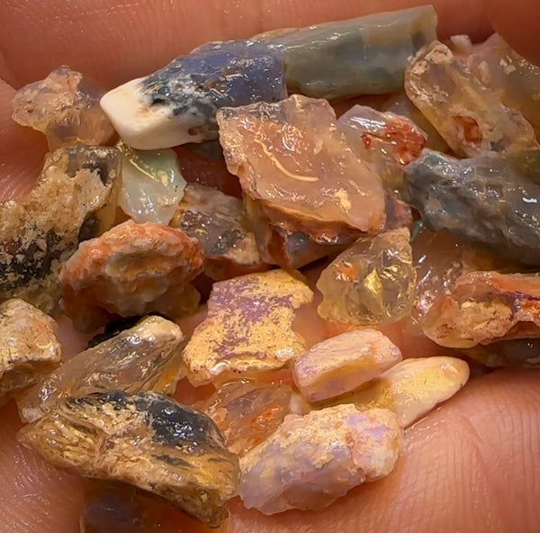 108.3cts - 40x Opalised Fossil Geological Specimens from Lightning Rid ...