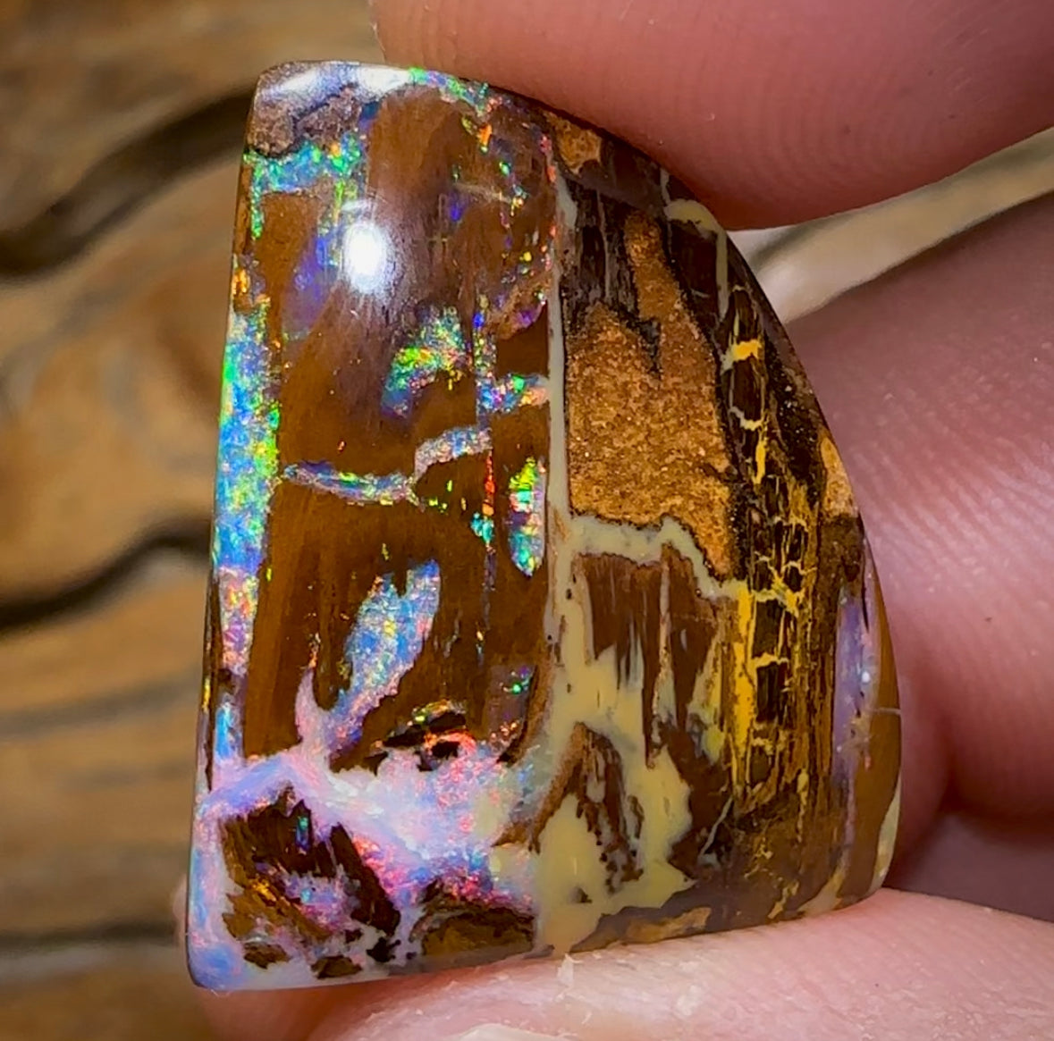 21.2cts - Australian Boulder Wood Cathedral Fossil Replacement Opal. ISAAC’S CUT - Opal Whisperers
