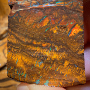 Wild Card! 146.6cts - Tribal Yowah Nut Opal Rough Slab