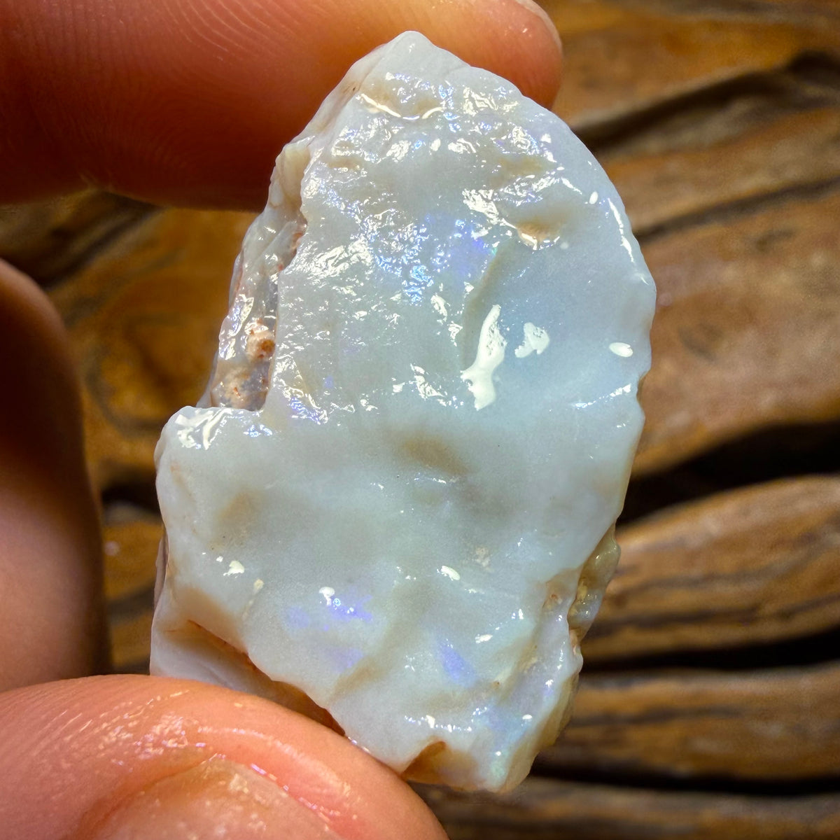 157.1cts - 5x Lightning Ridge Opal Rough Parcel