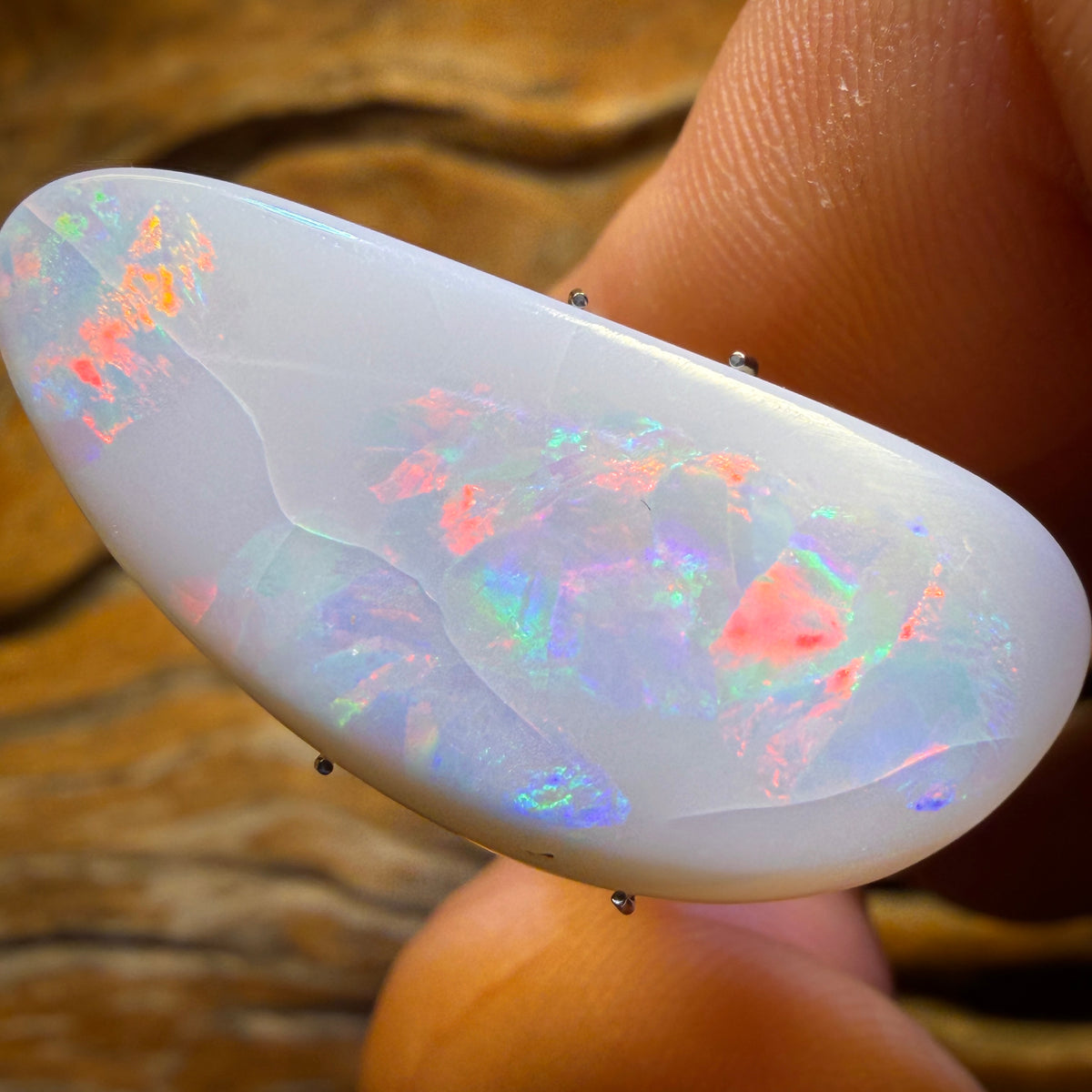 Wild Card!  13.5cts - Big Rare South Australian Opal from Mintabie Inclusions