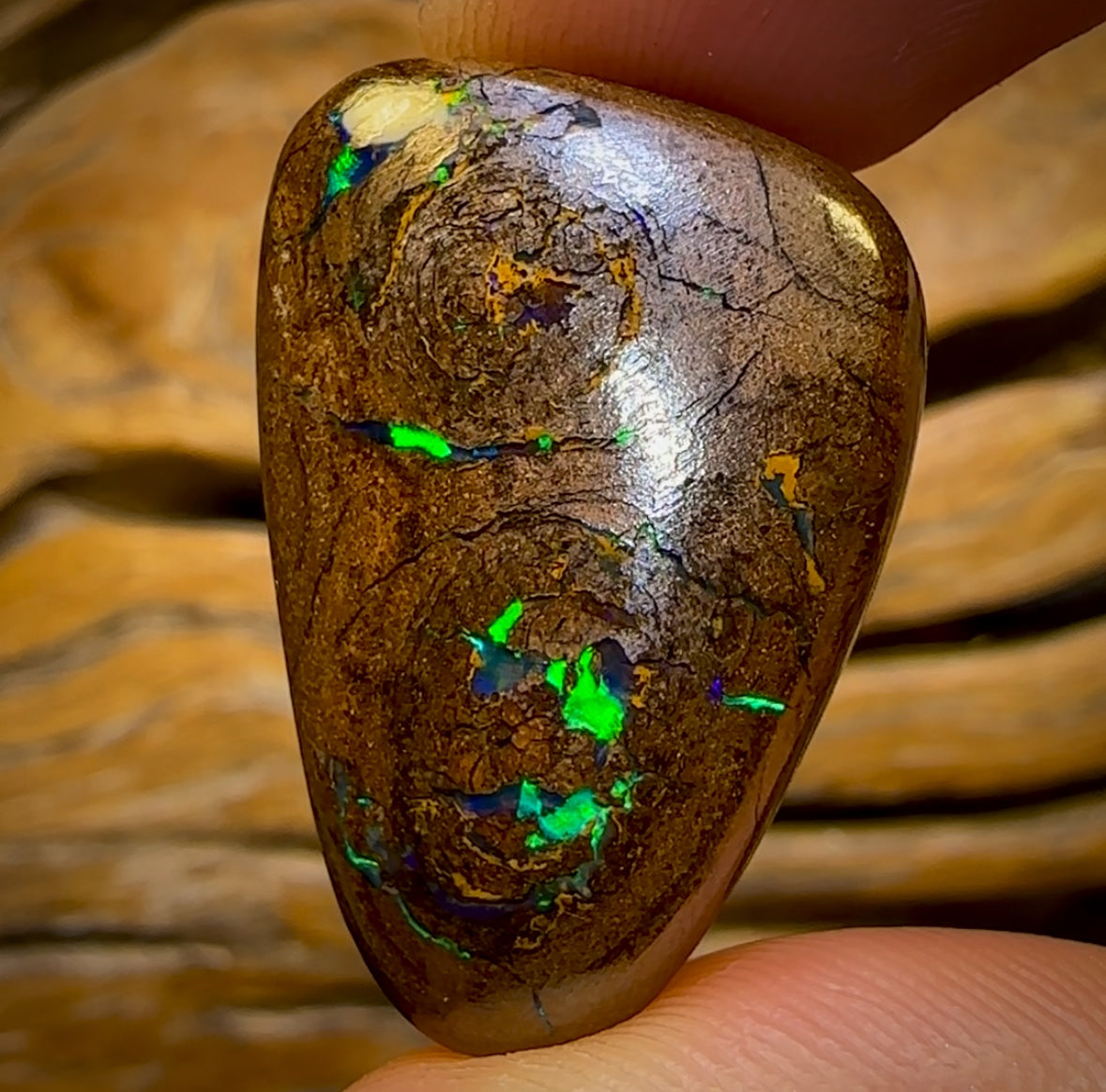 50.6cts - Queensland Boulder Opal from Yowah