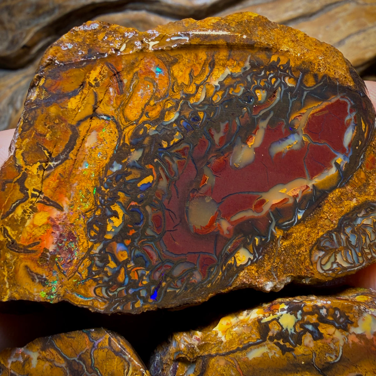 Wild Card! 794cts - 3x Yowah Nut Tribal Opal Rough Parcel. Australian Boulder Opal