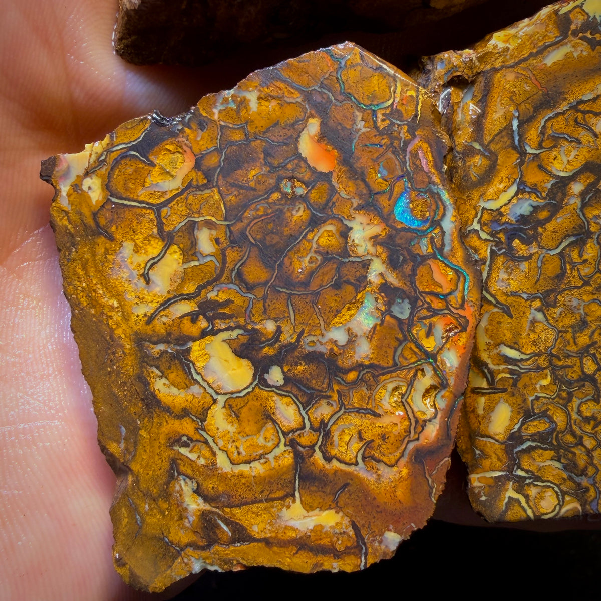Wild Card! 794cts - 3x Yowah Nut Tribal Opal Rough Parcel. Australian Boulder Opal
