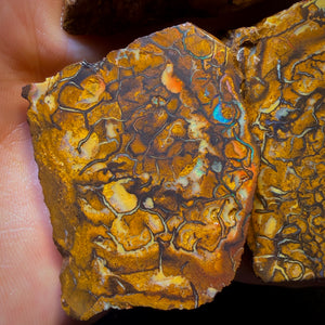 Wild Card! 794cts - 3x Yowah Nut Tribal Opal Rough Parcel. Australian Boulder Opal