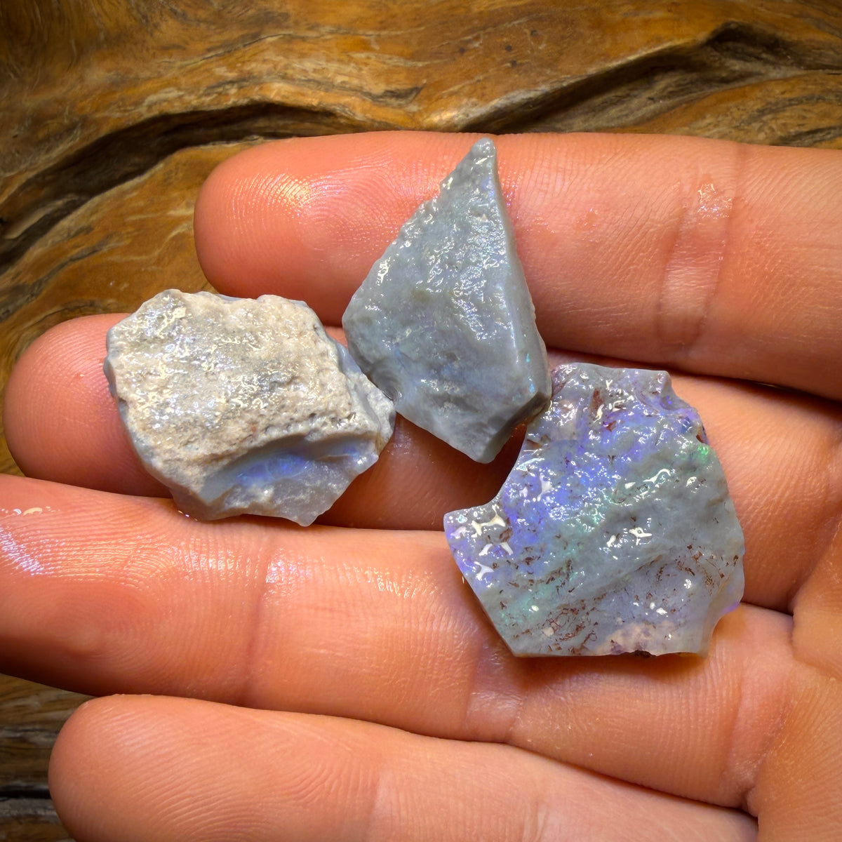 46.1cts - 3x Lightning Ridge Opal Rough Parcel