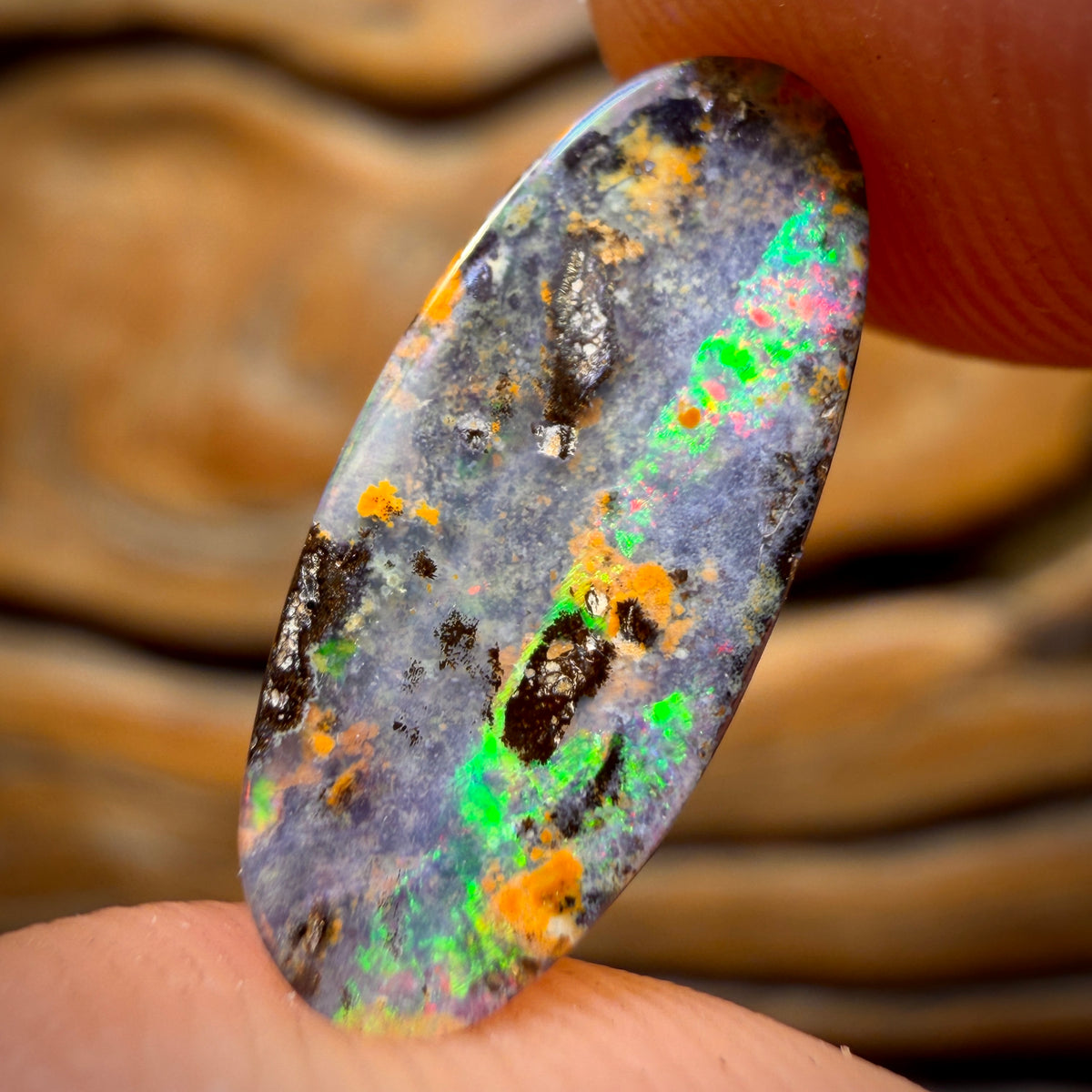 6,4 ct - Paire d'opales australiennes Boulder Seam avec des reflets rouges multicolores