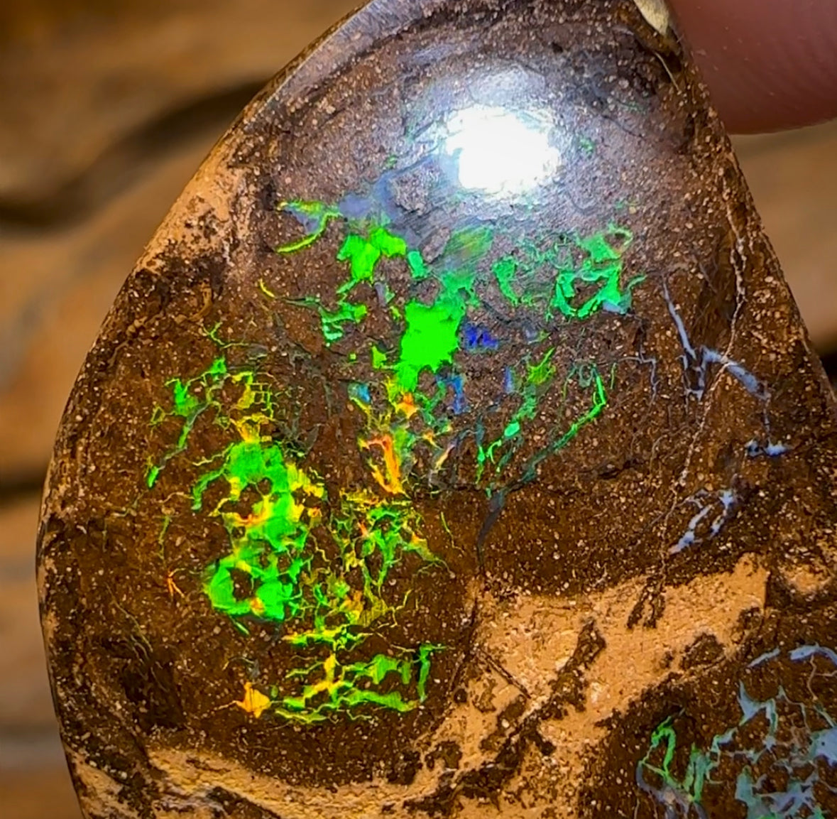 61.3cts - Electric Bubble Band Opal from Winton - Opal Whisperers