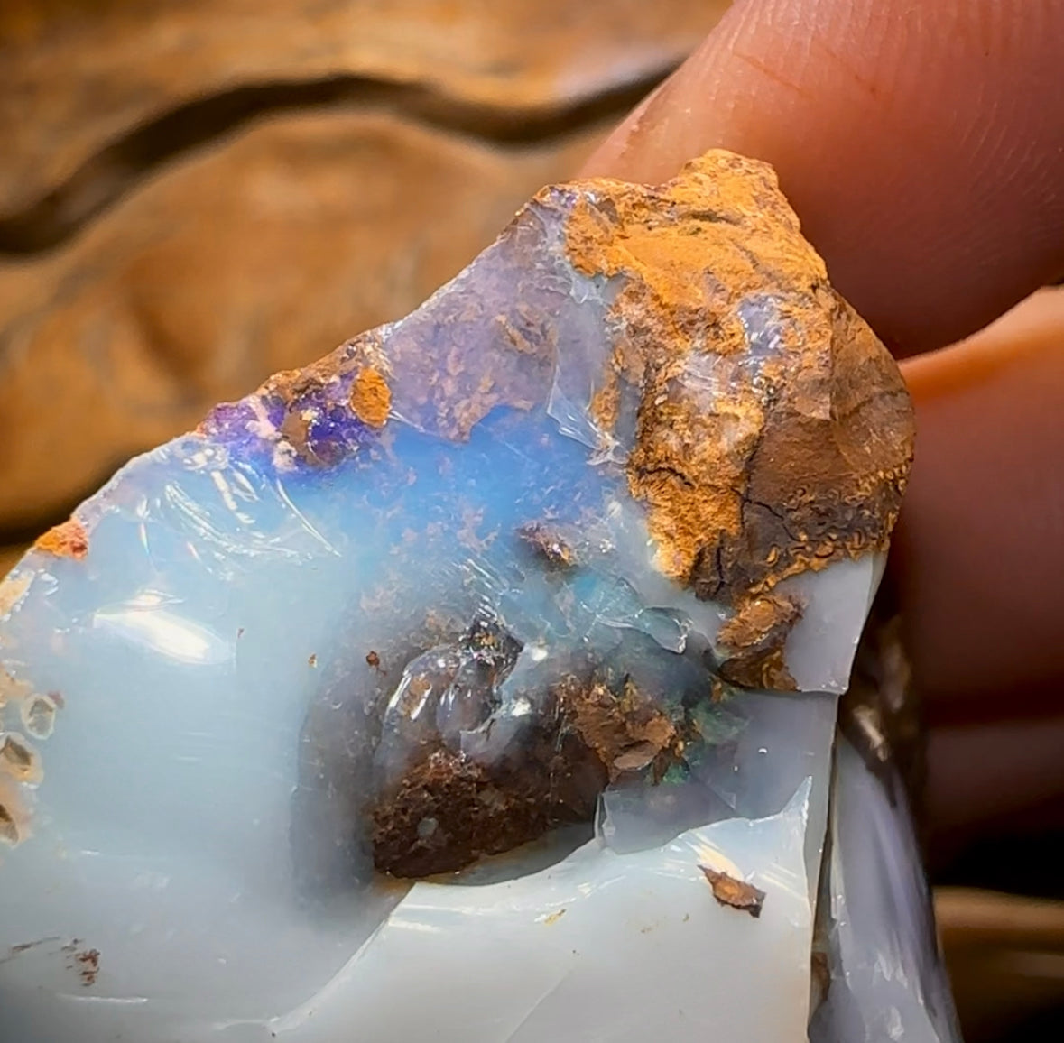 454.2cts - Large Rough Yowah Nut Opal Partial Crystal Centre - Opal Whisperers