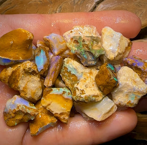 215cts - 25x Opalised Wood/Vegetation Fossil Rough Parcel from Yowah