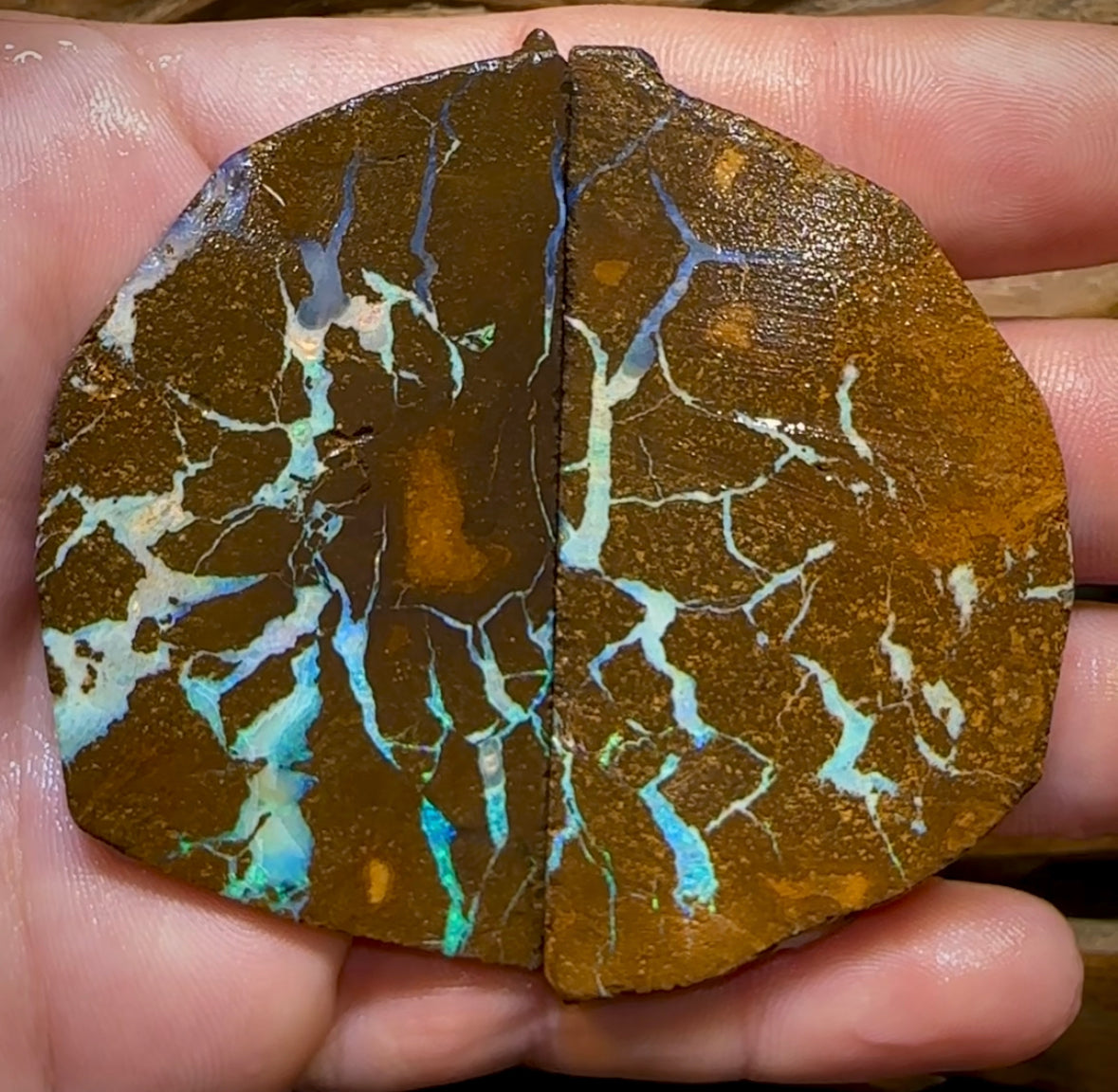 262.2cts - Large Australian Boulder Opal Rough Pair - Opal Whisperers