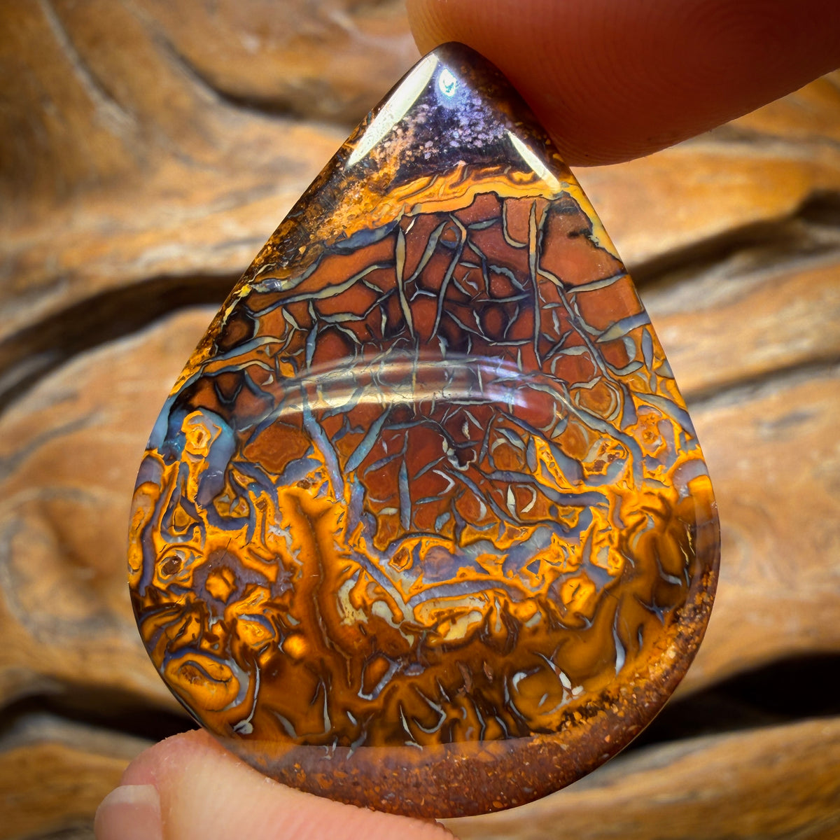 44.8cts - Top Tribal Koroit Nut Opal. Double sided