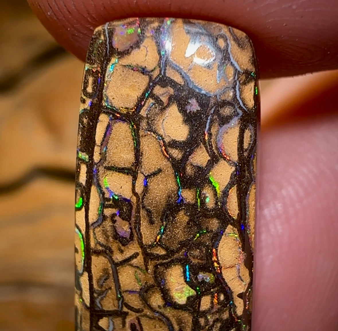 16.6cts - Yowah Nut Tribal Opal - Opal Whisperers