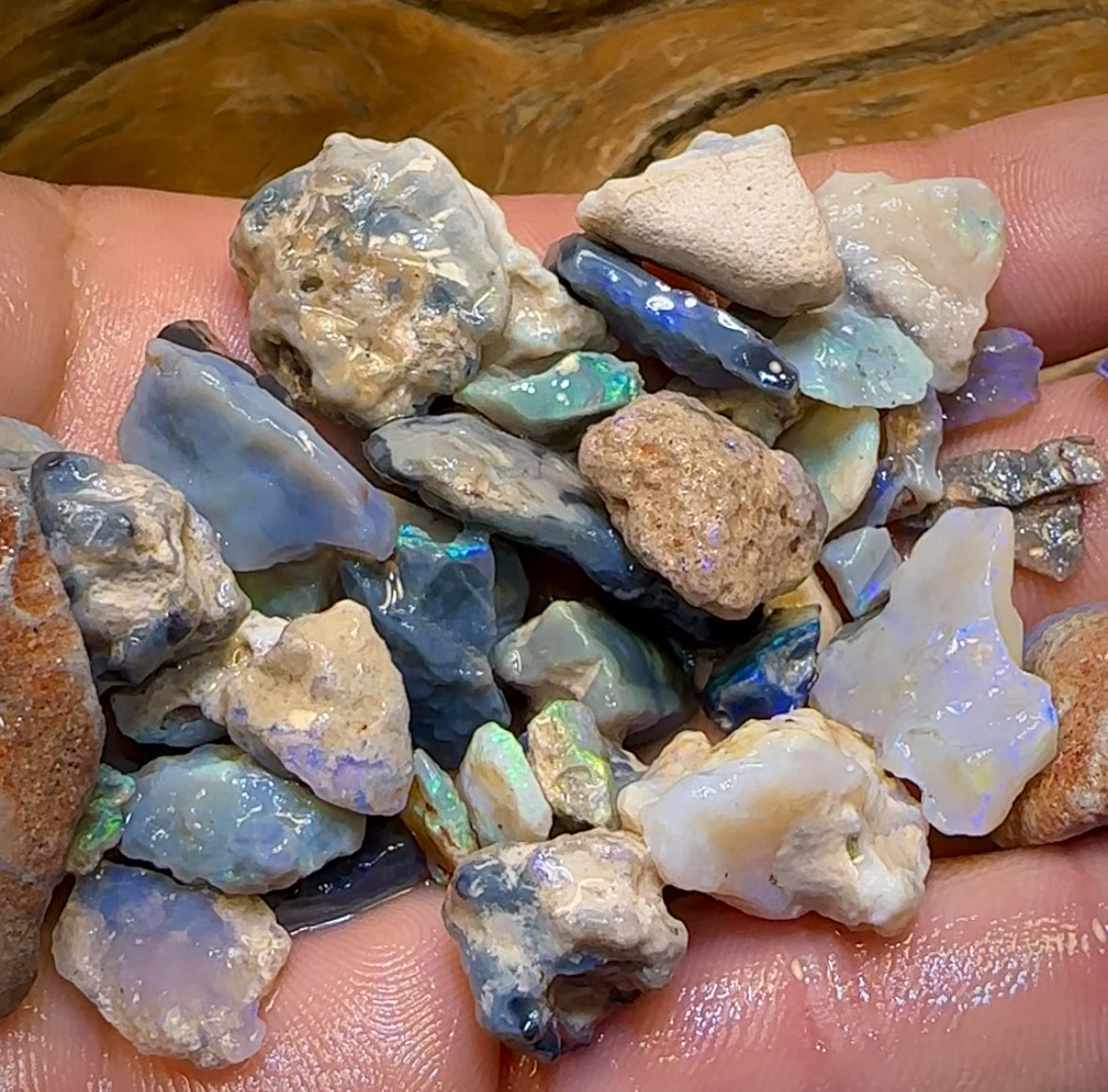 255cts - 40x Lightning Ridge Crystal, Dark and Black Opal Rough Parcel