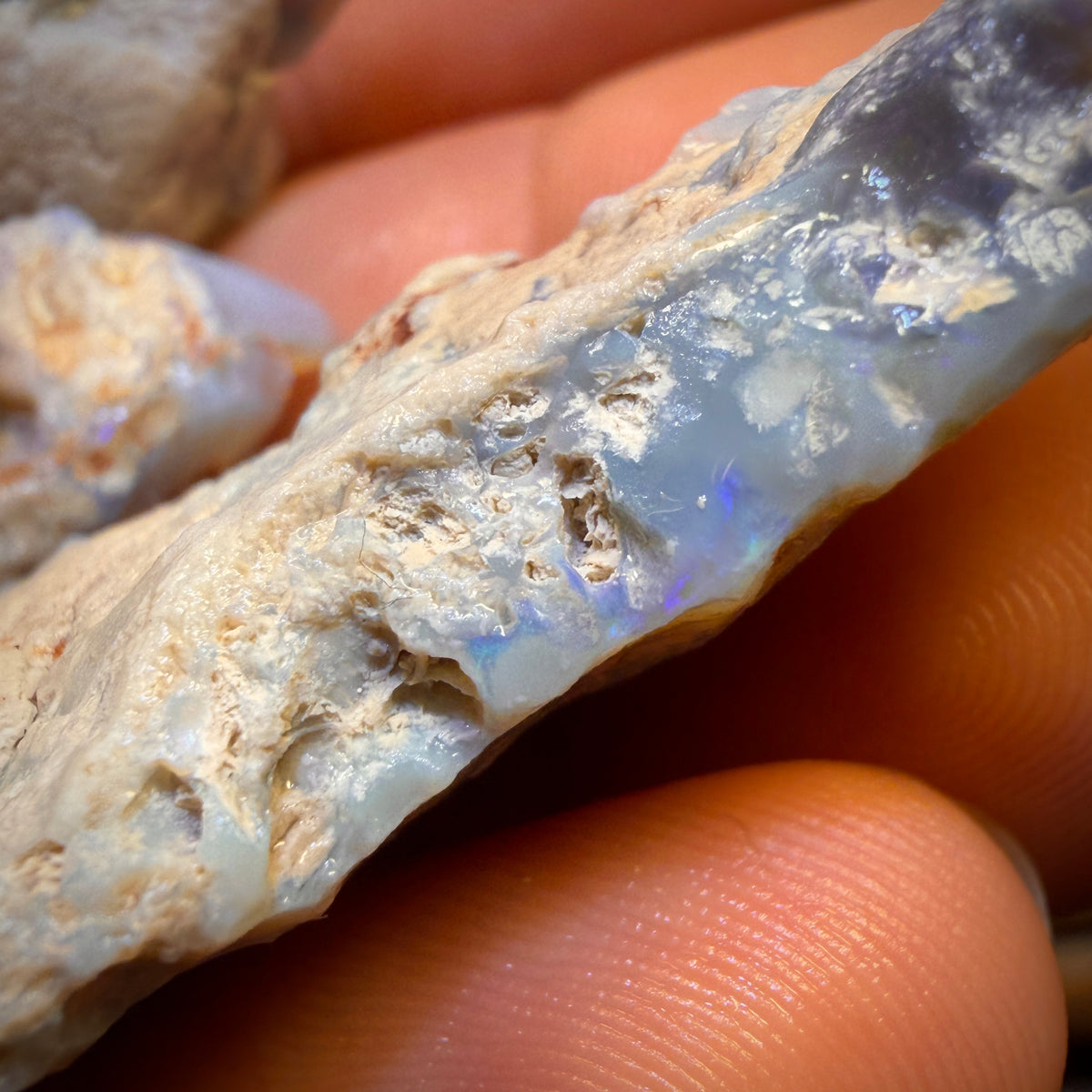 🔒149,5 carats - Lot de 3 opalines brutes de Lightning Ridge