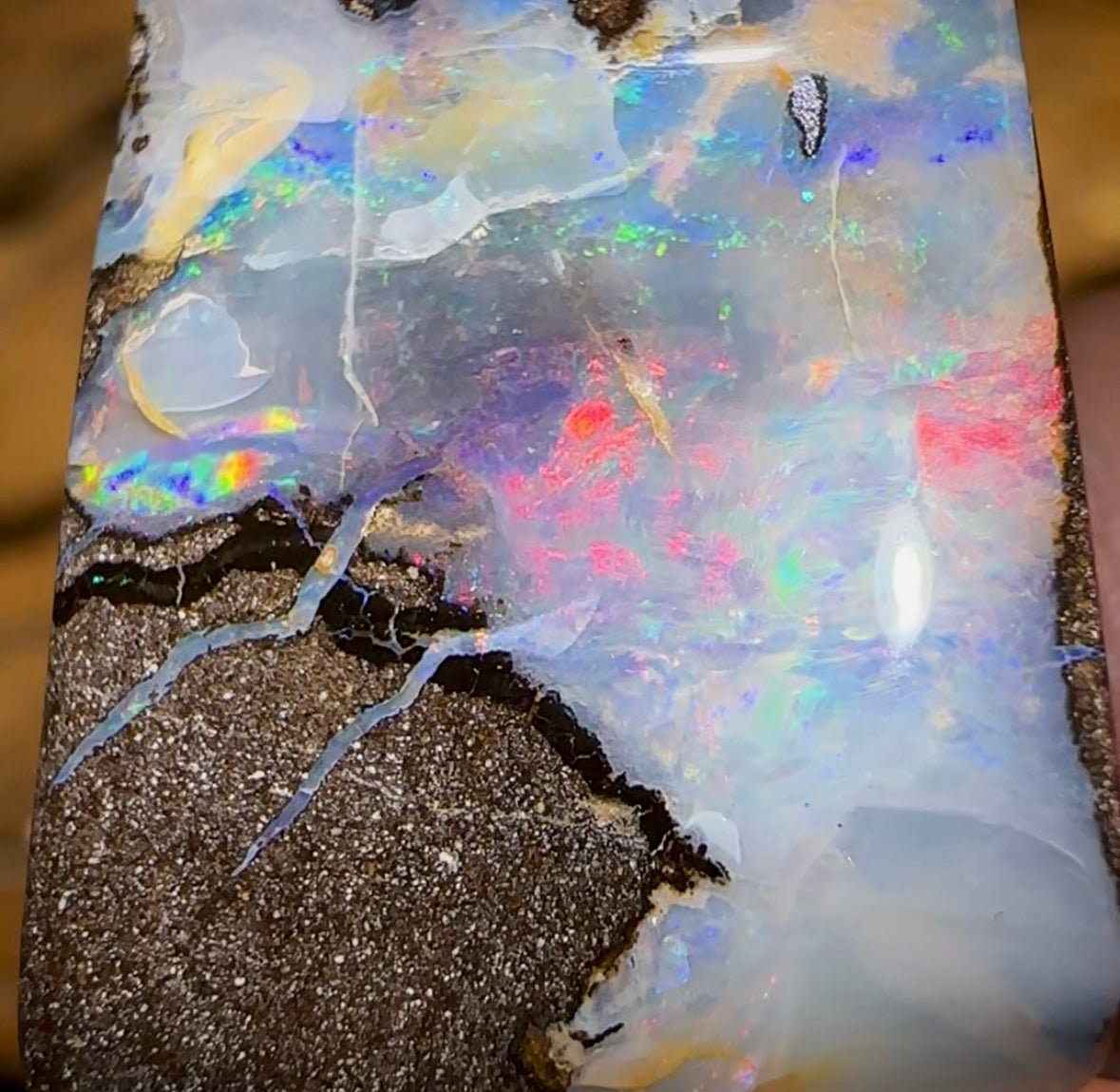 71cts - Queensland Boulder Seam Opal Red Multicolour - Opal Whisperers