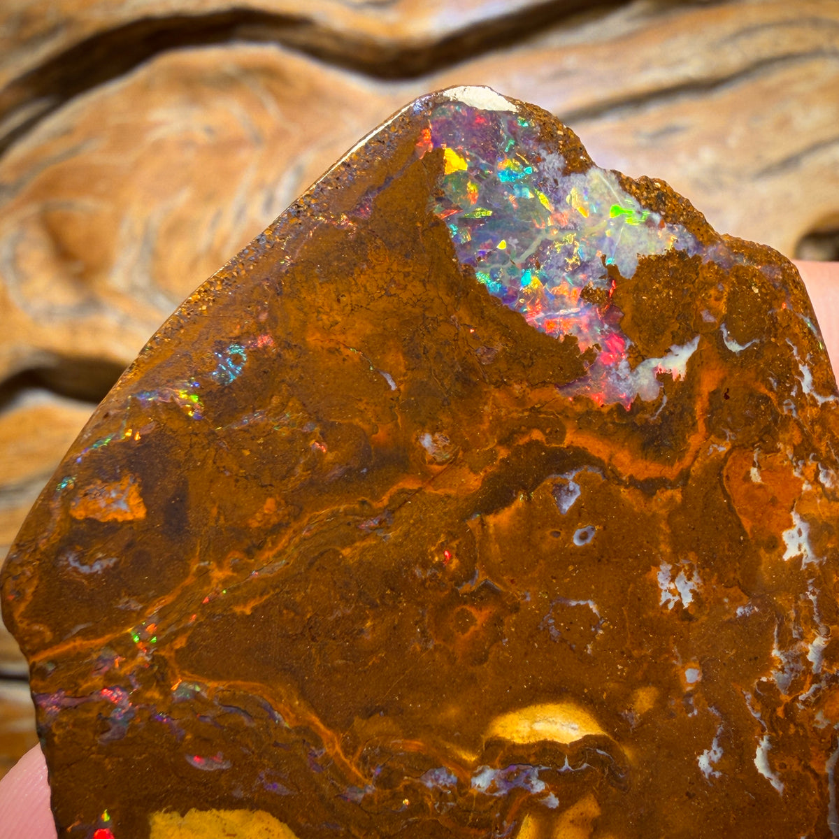 331.3cts - Queensland Boulder Opal Rough Rub from Yowah