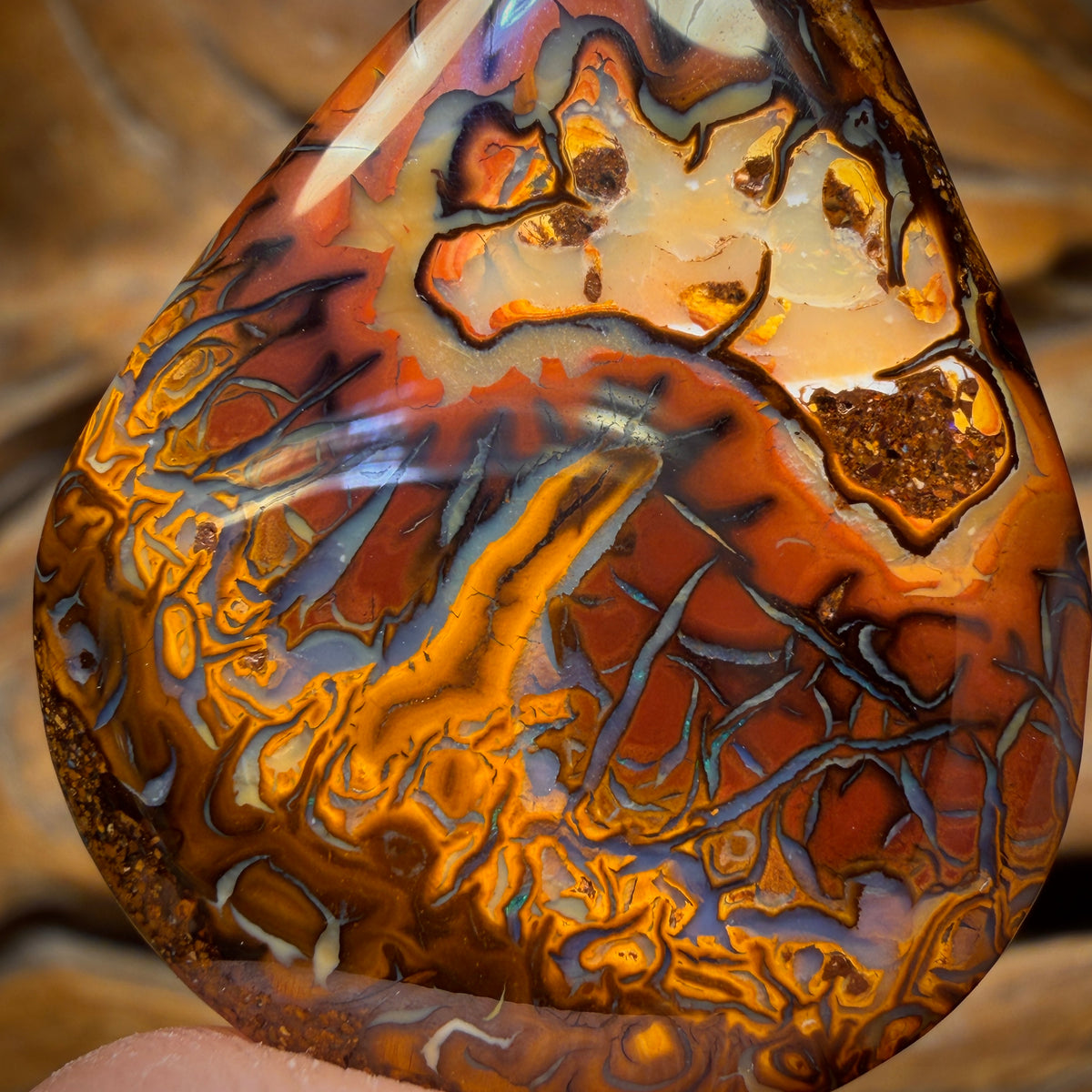 44.8cts - Top Tribal Koroit Nut Opal. Double sided