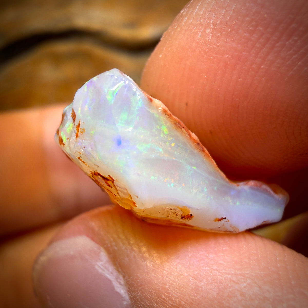 🔨 AUCTION 🔨 45.7cts - 3x South Australian Opal Rough Parcel