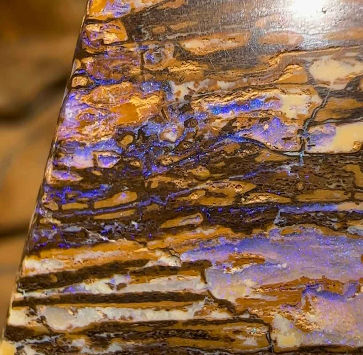 88.5cts - Wonderful Wood Fossil Australian Boulder Opal - Opal Whisperers