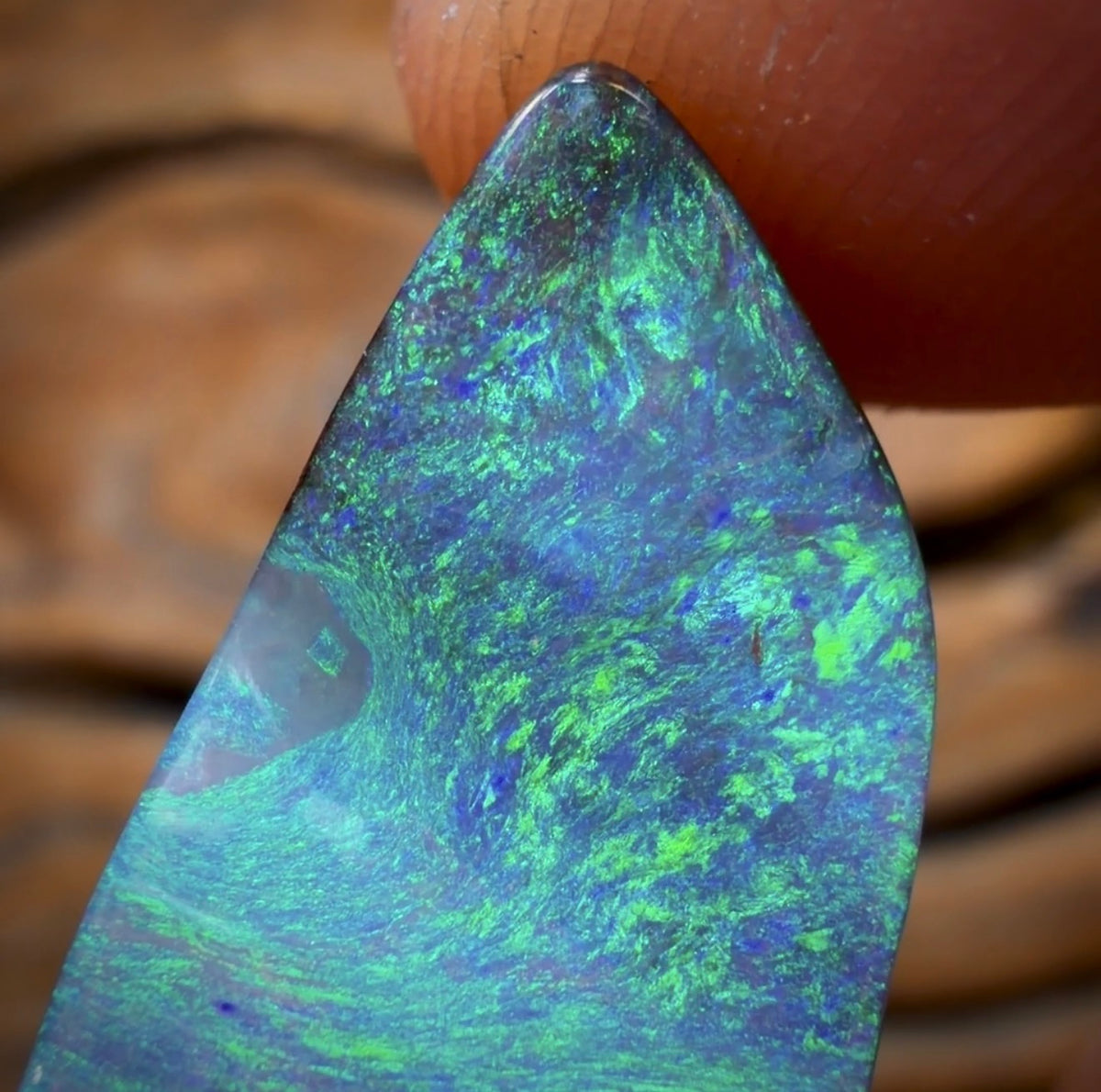 15.4cts - BANGER GEM Queensland Boulder Seam Opal